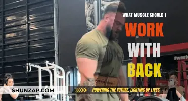 Target Your Back: Key Muscles to Work for Strength and Balance