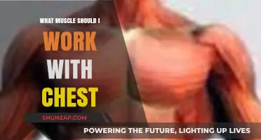 Maximize Chest Workouts: Best Muscle Pairings for Optimal Results