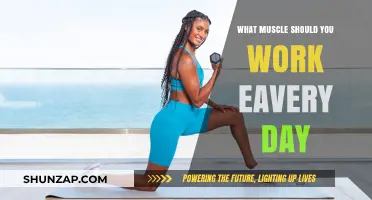 Daily Muscle Focus: Essential Groups to Train Every Day for Optimal Results