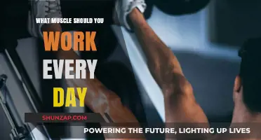 Daily Muscle Focus: Essential Exercises for Consistent Strength and Tone
