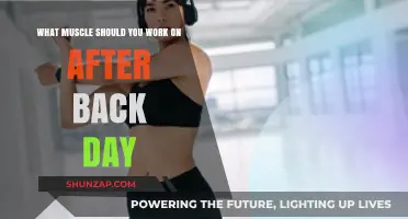 Post-Back Workout: Targeting the Ideal Muscle Group for Optimal Recovery