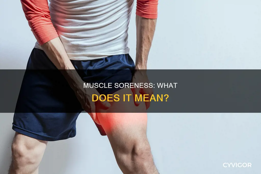 what muscle soreness means
