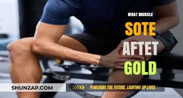 Golden Workout Recovery: Muscle Soreness and How to Heal