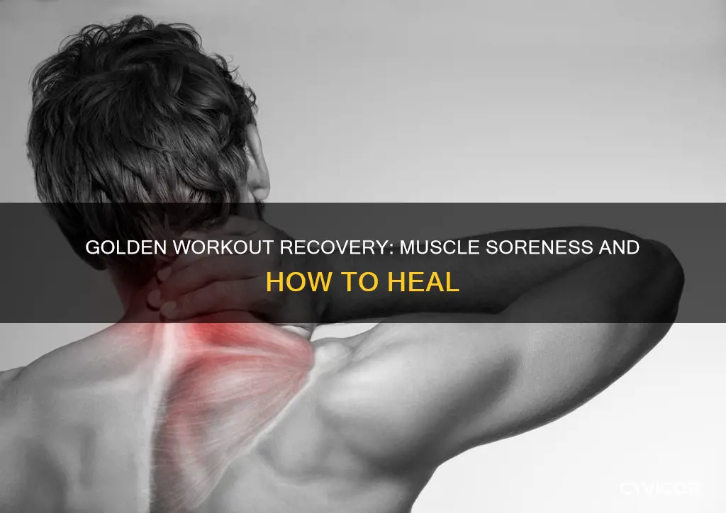 what muscle sote aftet gold