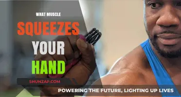 The Power of Your Grip: Hand Muscles Explained