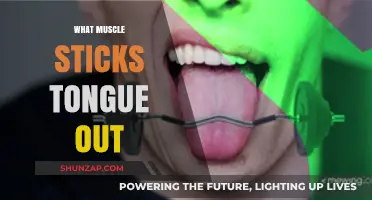 Tongue Twister: Which Muscle Controls Tongue Movement?