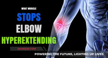 Prevent Elbow Hyperextension: Strengthen These Muscles