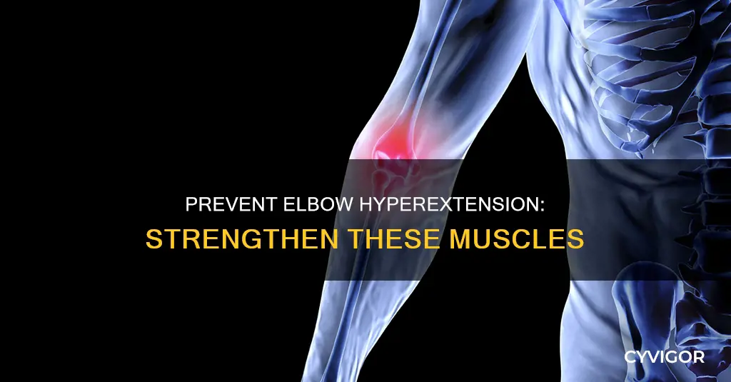 what muscle stops elbow hyperextending