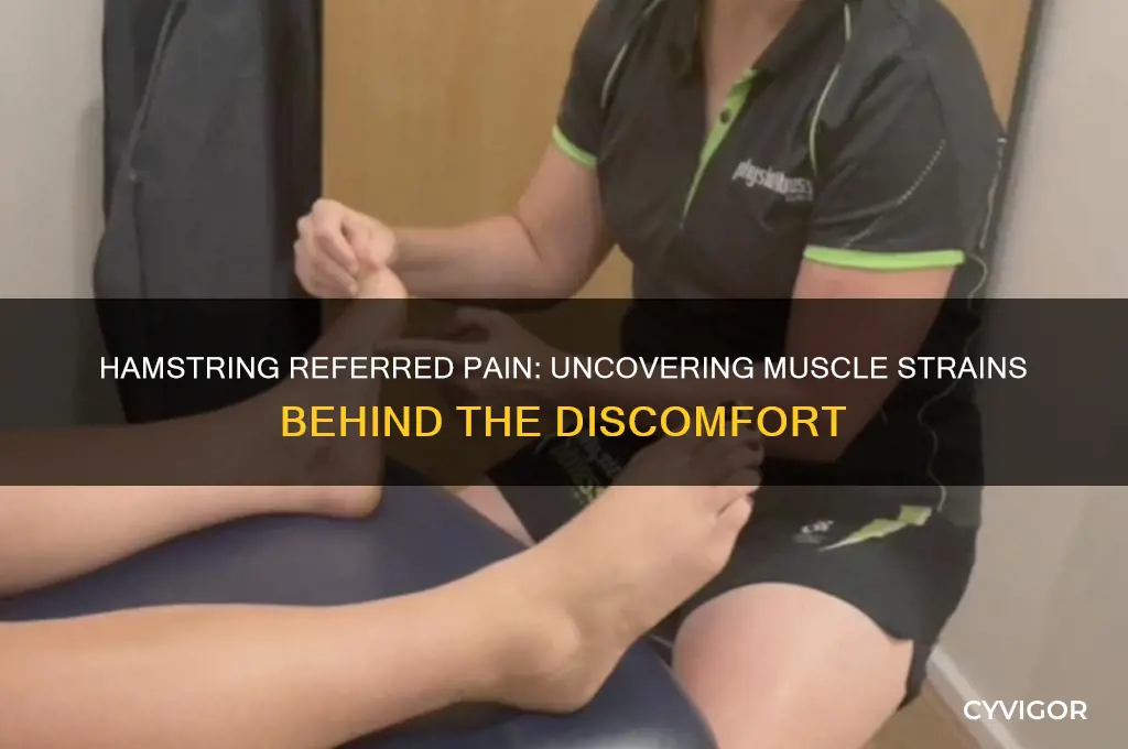 what muscle strains cause referred pain in hamstring