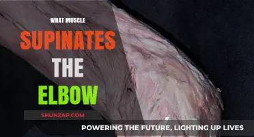 How to Strengthen Your Elbow Supination
