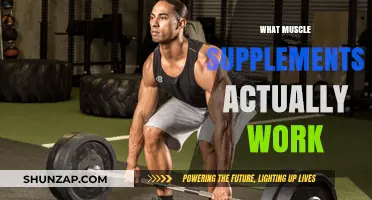 Effective Muscle Supplements: What Works and What Doesn't for Gains