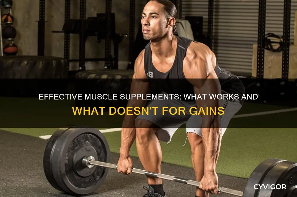 Effective Muscle Supplements: What Works And What Doesn't For Gains ...