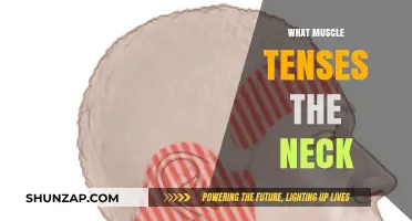 Neck Muscle Tension: What's the Culprit?