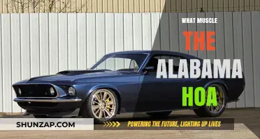 Alabama HOA: Muscle Behind the Magic