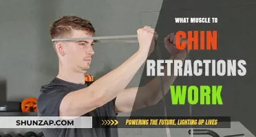 Chin Retractions: Targeting Muscles for Better Posture and Neck Strength