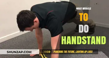 Handstands: Mastering the Art of Balancing on Your Hands