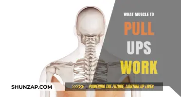 Pull-Ups: Target Muscles and Benefits for Upper Body Strength