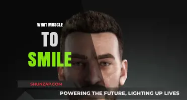 Facial Muscles and the Art of Smiling