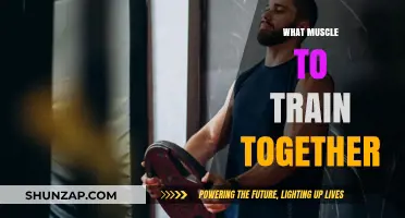 Training Muscle Groups: What to Train Together