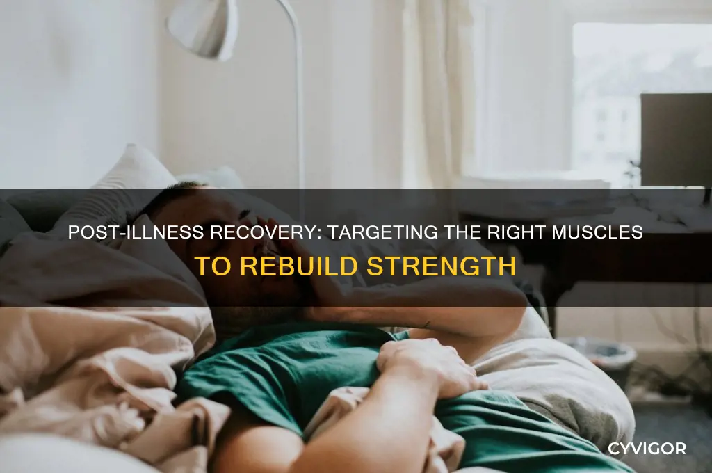 what muscle to work after being sick