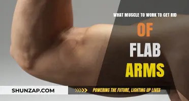 Tone and Tighten: Targeting Muscles to Eliminate Flabby Arms Effectively