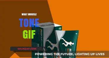 How to Improve Your Muscle Tone