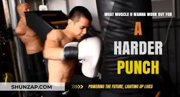 Build a Stronger Punch: Target These Key Muscles for Power