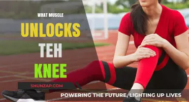 Unlocking the Knee: The Power of the Hamstring