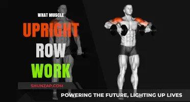 Upright Row Muscles: Targeted Benefits and Proper Form Explained