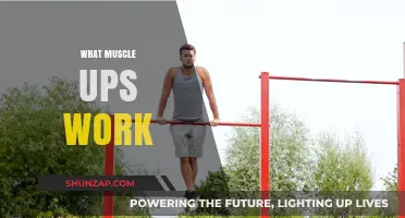 Mastering Muscle-Ups: Targeted Muscles and Benefits Explained