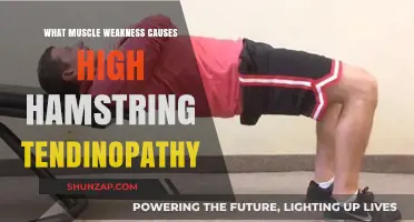 Muscle Imbalances Leading to High Hamstring Tendinopathy: Causes Explained