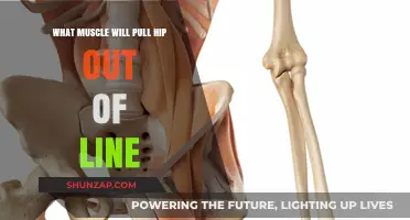 Muscles Causing Hip Misalignment: Understanding the Culprits Behind the Pain