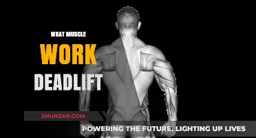 Deadlift Muscles: Unlocking Full-Body Strength and Engagement Explained