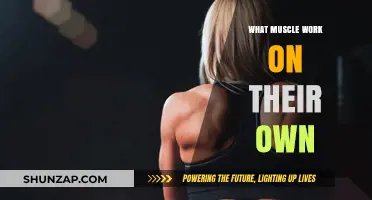 Unassisted Muscles: Exploring the Body's Self-Sustaining Muscle Functions