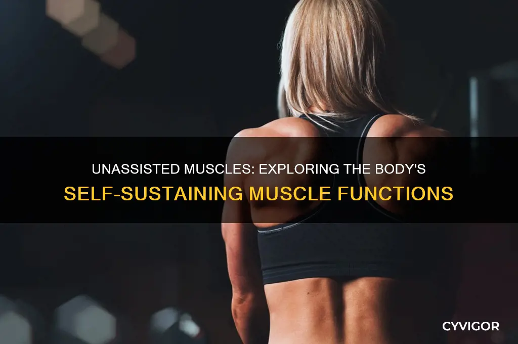 what muscle work on their own