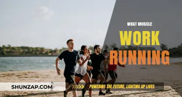 Muscles in Motion: Understanding the Key Muscles Running Engages