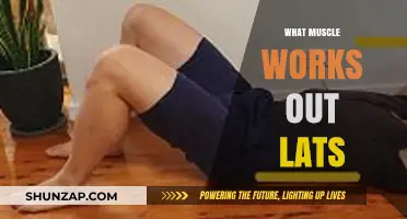 Effective Exercises to Target and Strengthen Your Latissimus Dorsi Muscles