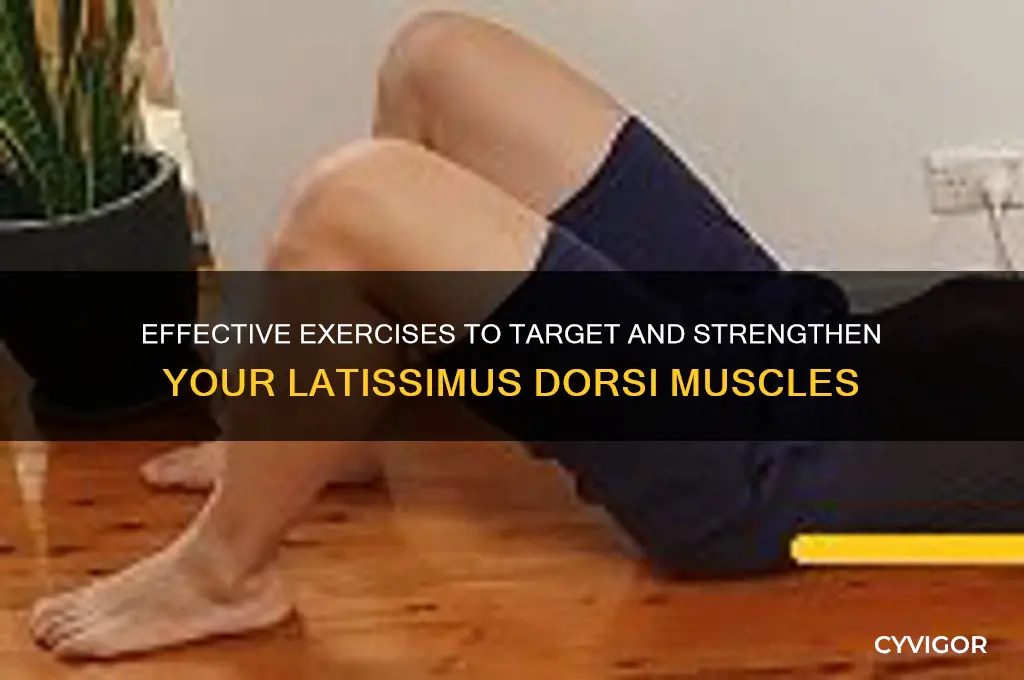 what muscle works out lats