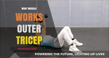 Sculpting Strong Arms: Targeting the Outer Tricep Muscle Effectively
