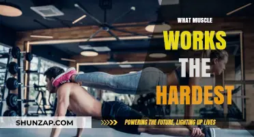 Unveiling the Body's Strongest Muscle: A Surprising Workhorse Revealed