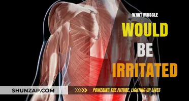 Muscle Irritation: Understanding the Root Cause of Your Pain