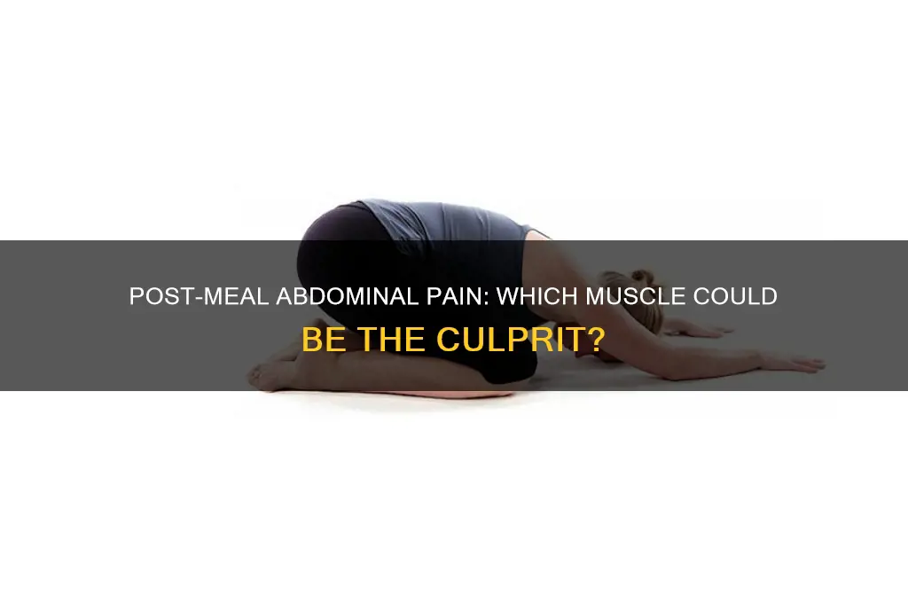 what muscle would cause abdominal pain after eating