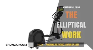Elliptical Workout: Target Muscles and Full-Body Benefits Explained