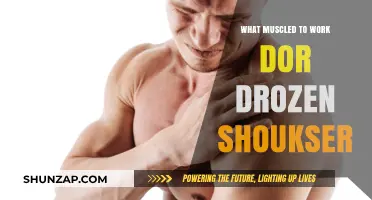 Effective Muscle Groups to Target for Stronger Drozen Shoukser Performance