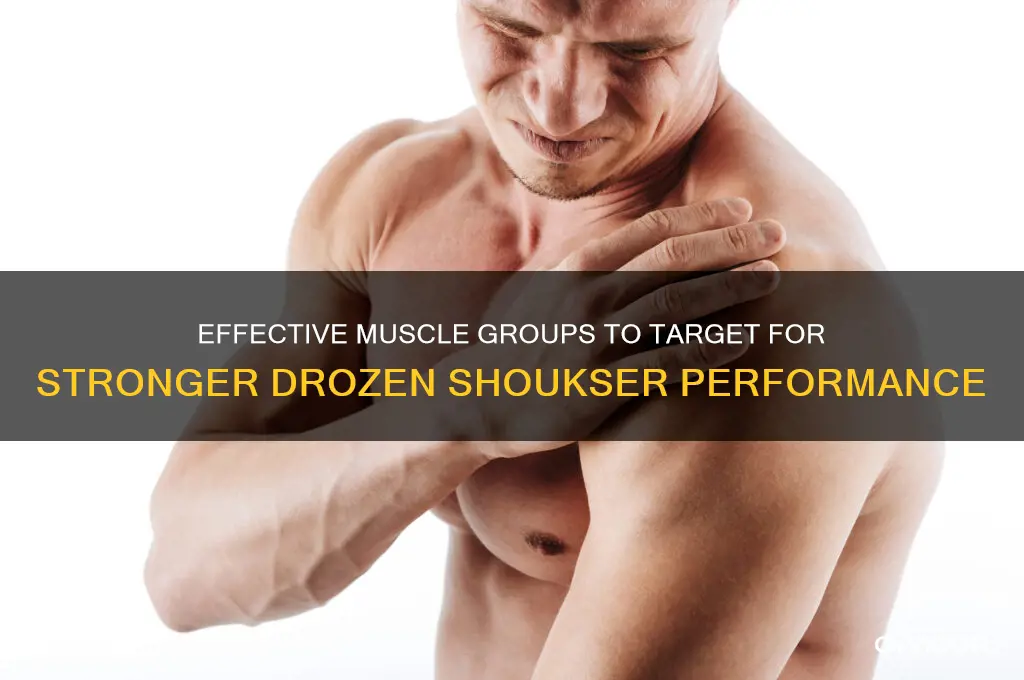 what muscled to work dor drozen shoukser