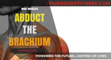 How to Strengthen Your Arm Abductors