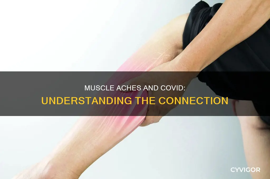 what muscles ache with covid