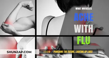 Flu Symptoms: Muscle Aches and Pains Explained