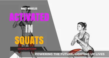 Squats: Which Muscles Are Activated and How?
