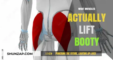 Glute-us to a Better Booty: Targeting Muscles for a Lifted Look